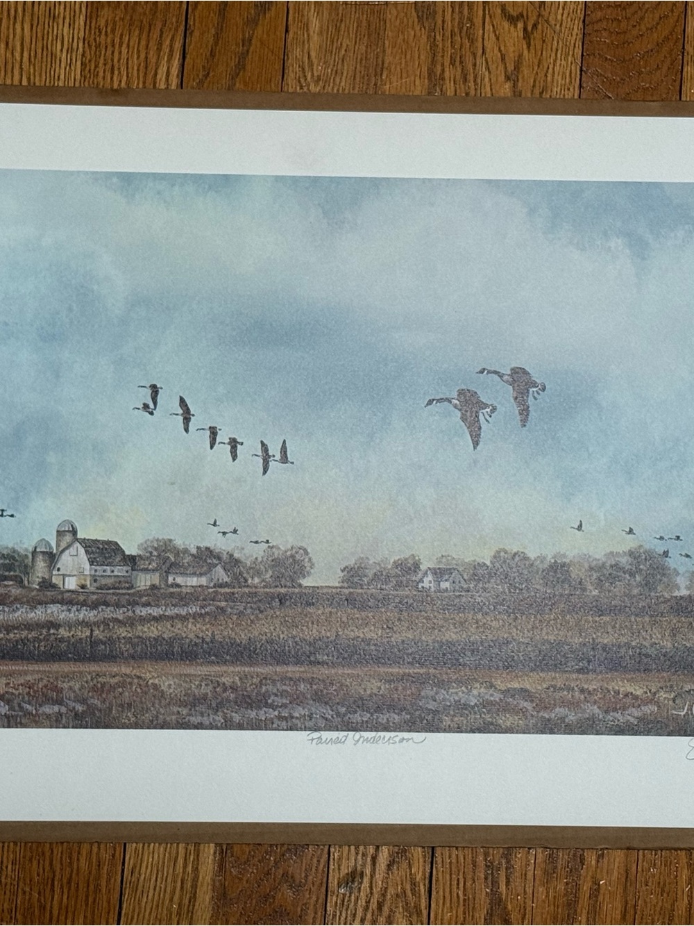 1985 Signed & Numbered “Paired Indecision” Canadian Geese Print by J.W.